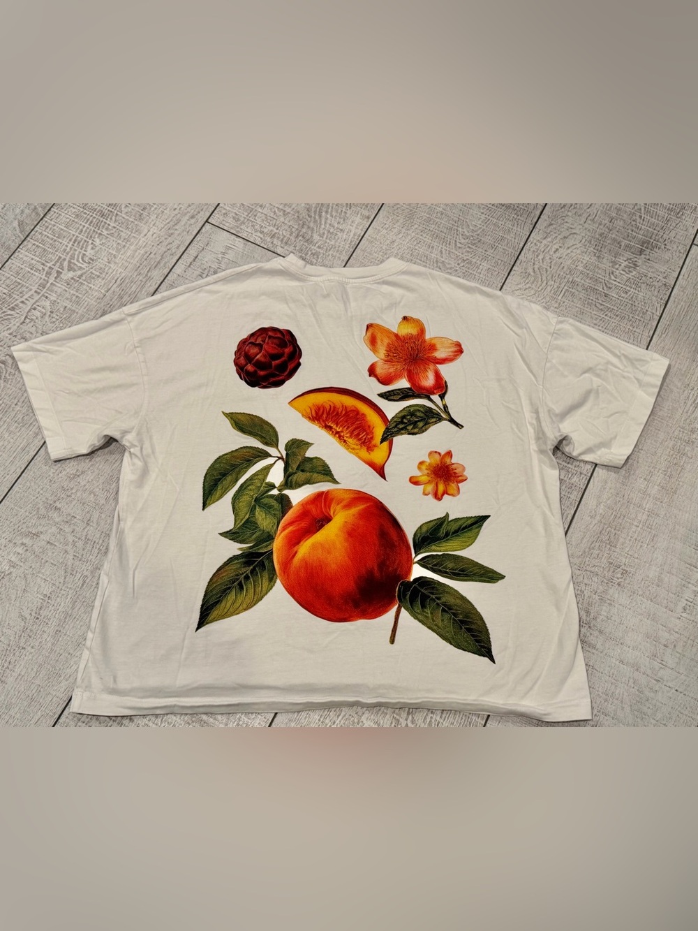 Zara Oversized Peach Botanical Graphic Tee M